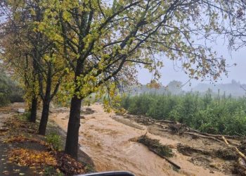South African fruit regions face flood damage and logistics disruptions