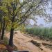 South African fruit regions face flood damage and logistics disruptions
