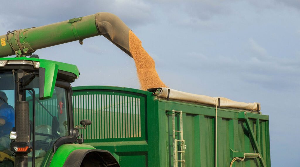 Climate Experts urge Food Stockpiling to Avoid Shortages