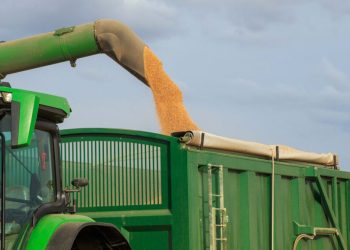 Climate Experts urge Food Stockpiling to Avoid Shortages