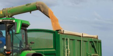 Climate Experts urge Food Stockpiling to Avoid Shortages