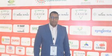 Moroccan tomato exports down by 11% in 2025-26