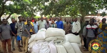 South Tongu MP distributes rice seedlings to support farmers