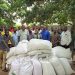 South Tongu MP distributes rice seedlings to support farmers South Tongu MP distributes rice seedlings to support farmers
