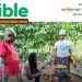 Agrihouse Foundation, AgriWatchGH Launch “At the Table with Alberta Nana Akyaa Akosa”