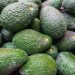 Kenyan avocado cold storage startup seeks US.5 million expansion funding