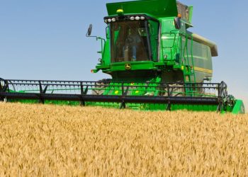 Global Wheat Production Levels Coming Under Pressure