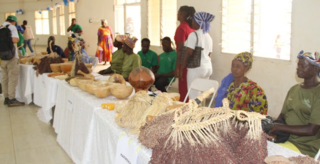 Bolgatanga Seed Fair Advocates Indigenous Seeds for Sustainable Agriculture Advocates Indigenous Seeds for Sustainable Agriculture