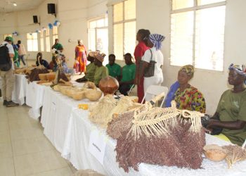 Bolgatanga Seed Fair Advocates Indigenous Seeds for Sustainable Agriculture Advocates Indigenous Seeds for Sustainable Agriculture