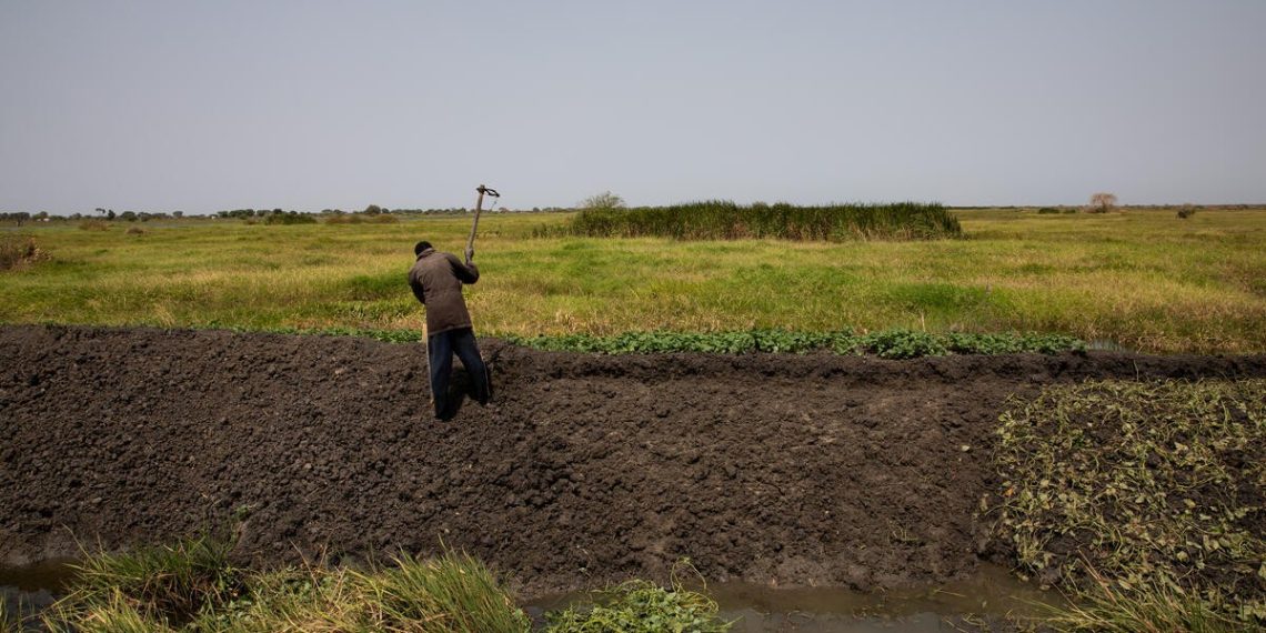 Hunger intensifies in South Sudan as 7.8 million people face high acute food insecurity and 2.2 million children suffer acute malnutrition