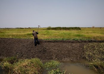 Hunger intensifies in South Sudan as 7.8 million people face high acute food insecurity and 2.2 million children suffer acute malnutrition