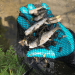 Farmers Urged to Report Slurry Spills after Incident Kills Over 1,500 fish