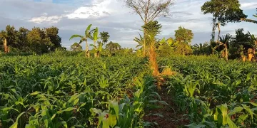 Rising Fuel Costs Impacting Farmers; are Consumers Next?