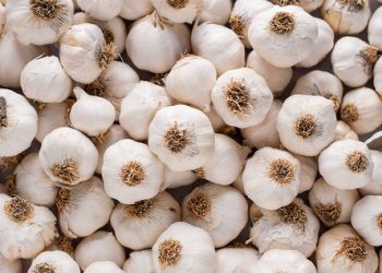 Romania approves US,450 per hectare garlic support scheme for 2026