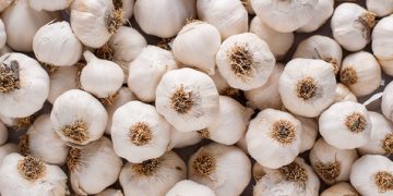 Romania approves US,450 per hectare garlic support scheme for 2026