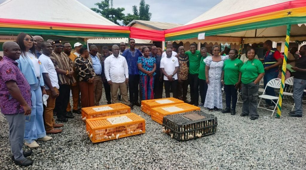 Volta Region allocated 180,000 birds under National Broilers Project Volta Region allocated 180,000 birds under National Broilers Project