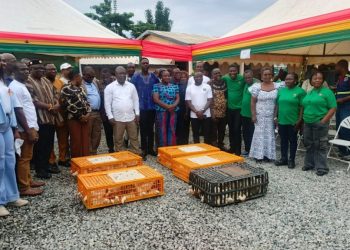 Volta Region allocated 180,000 birds under National Broilers Project