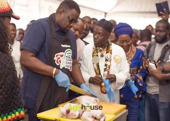 Ghana Poultry Day 2026 Set to Champion Local Poultry Production and Food Security