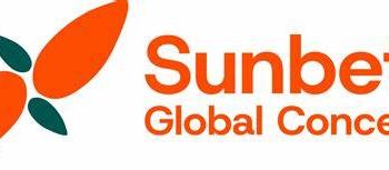 Sunbeth to build 70,000MT cocoa, 80,000MT cashew plants by 2027