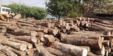 Timber sector SRAs reach GHS4.52 million nationwide – Forestry Commission