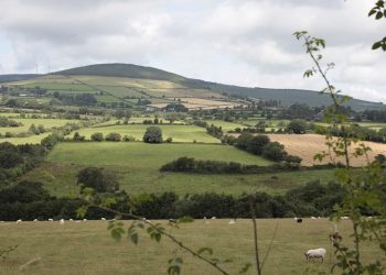 NI Agriculture Minister Launches £2.2m Rural Grant