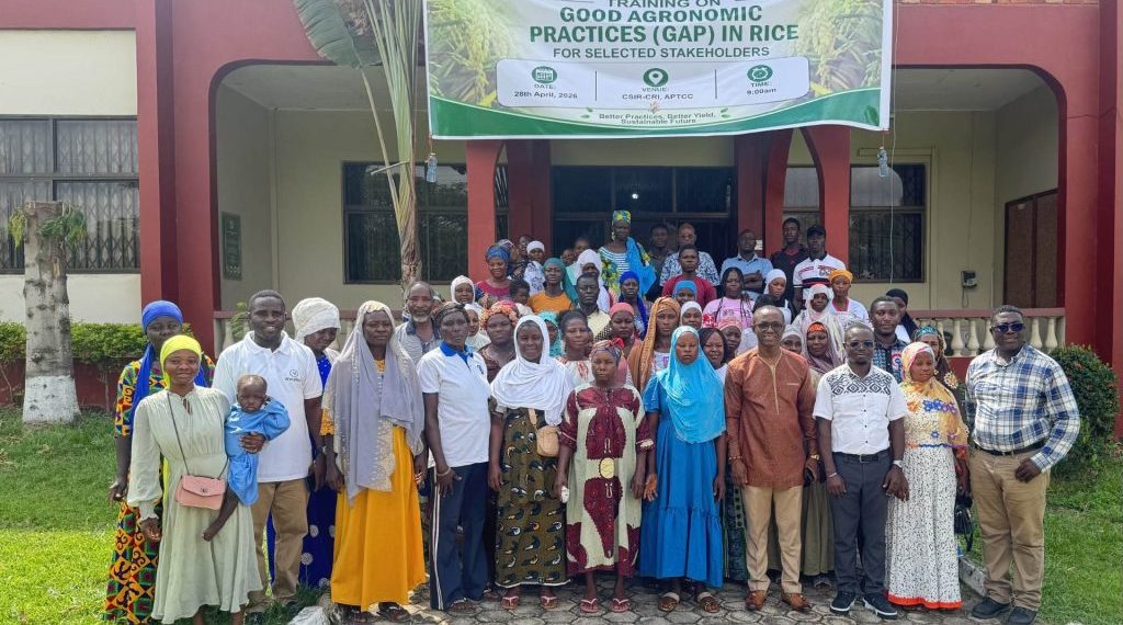 Rice value chain actors trained on modern agronomic practices to improve yields