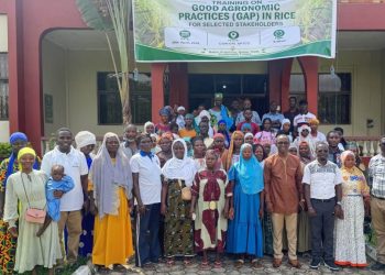 Rice value chain actors trained on modern agronomic practices to improve yields