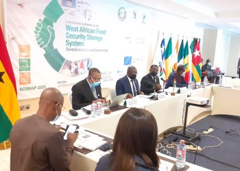 Ghanaians urged to grow food crops in backyards