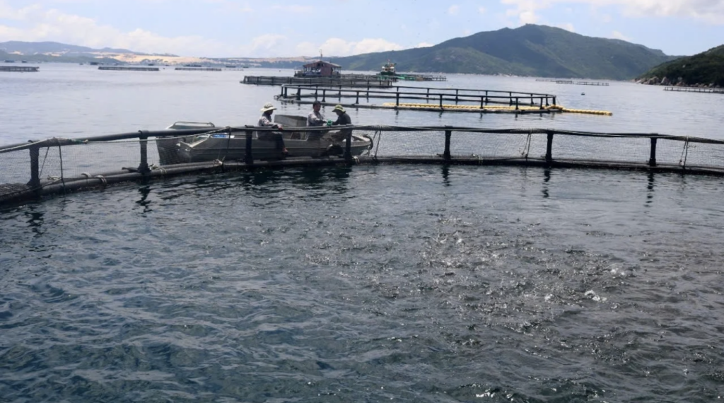 Gov’t targets mariculture to close Ghana’s fish supply deficit