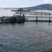 Gov’t targets mariculture to close Ghana’s fish supply deficit