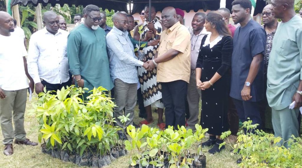 MoFA distributes over 1.2 million tree seedlings to farmers across 3 regions