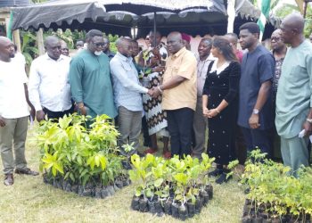 MoFA distributes over 1.2 million tree seedlings to farmers across 3 regions