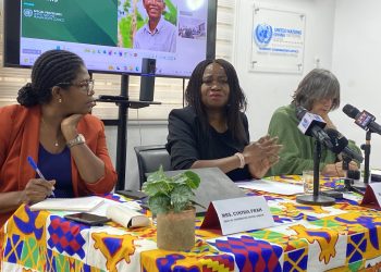 Ghana risks food crisis without sustainable agriculture – UN Working Group