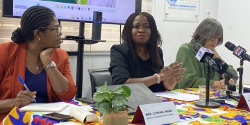 Ghana risks food crisis without sustainable agriculture – UN Working Group