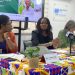 Ghana risks food crisis without sustainable agriculture – UN Working Group