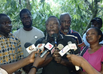Ghana cocoa prices higher than Côte d’Ivoire despite criticism