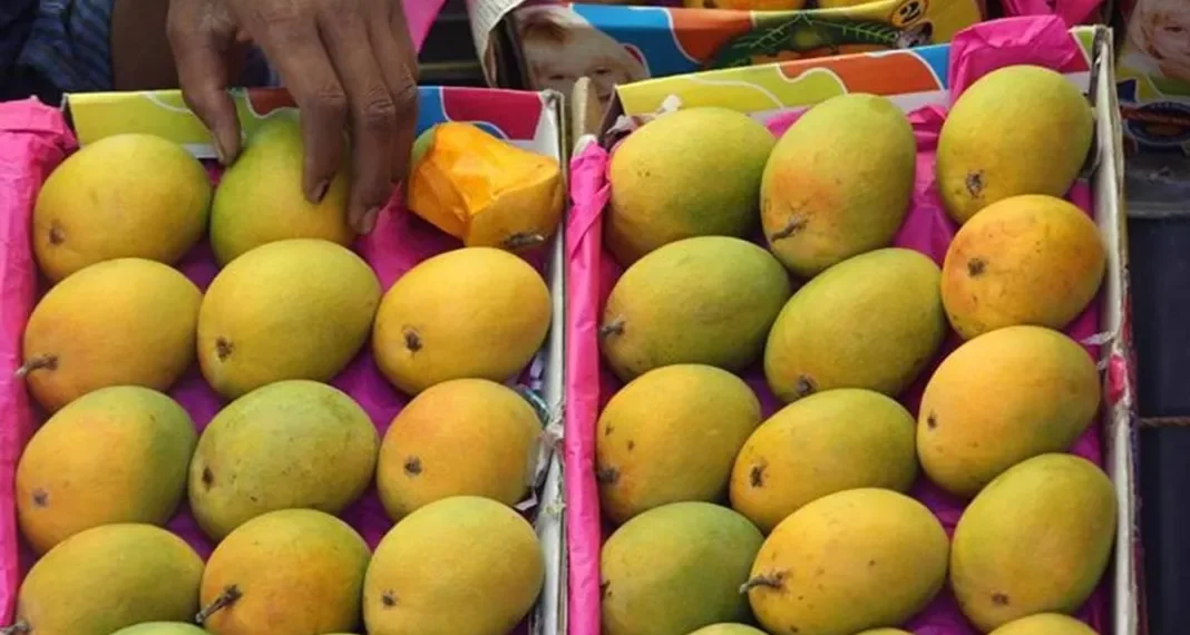 TCDA sets minimum producer price for fresh mango for 2026 major season