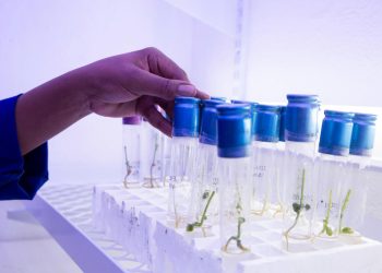 FAO unveils new data domain tracking agricultural research and development trends
