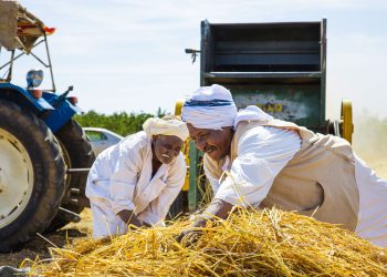 Risk of Famine persists as nearly 19.5 million people face acute food insecurity in Sudan