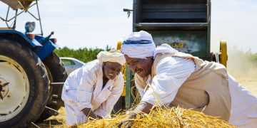Risk of Famine persists as nearly 19.5 million people face acute food insecurity in Sudan