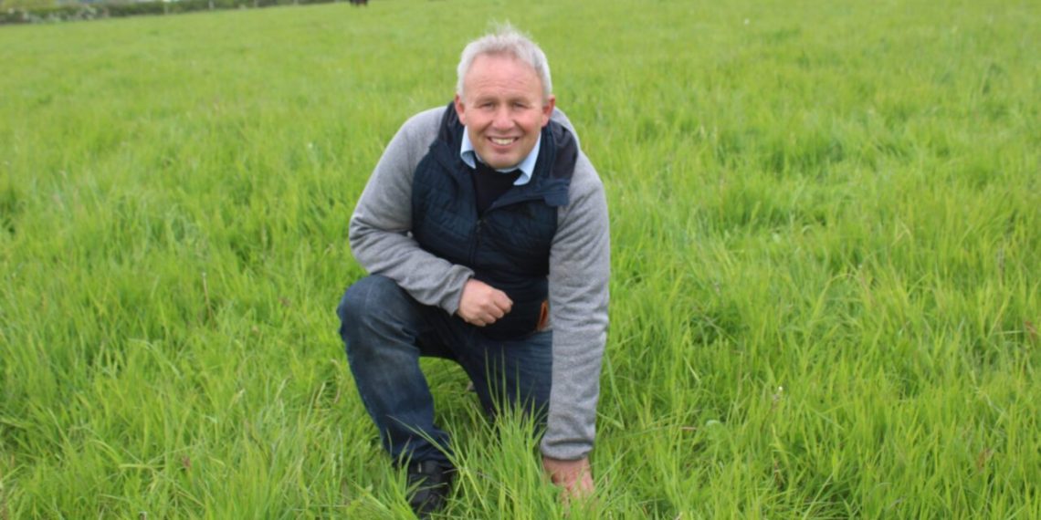 Organic Beef and Sheep Production is ‘Wholly Sustainable’ – Farmer