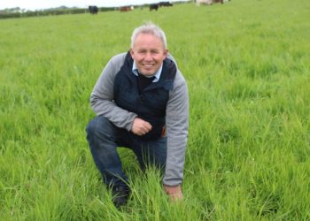 Organic Beef and Sheep Production is ‘Wholly Sustainable’ – Farmer
