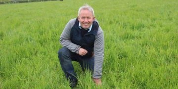 Organic Beef and Sheep Production is ‘Wholly Sustainable’ – Farmer