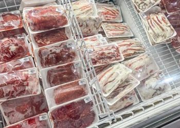 FDA Tightens Checks on Frozen Food Imports Over Safety Concerns