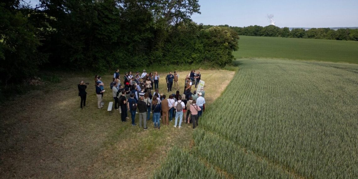 Diageo backs Global Framework to ‘Scale Regenerative Agriculture’ Diageo backs Global Framework to ‘Scale Regenerative Agriculture’