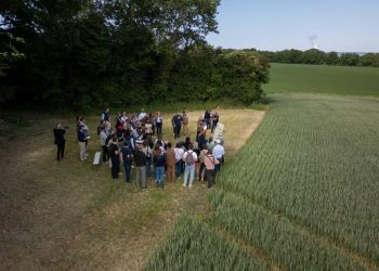 Diageo backs Global Framework to ‘Scale Regenerative Agriculture’