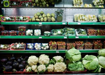 FAO report calls for robust risk assessment for recycled plastic food packaging