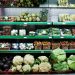 FAO report calls for robust risk assessment for recycled plastic food packaging