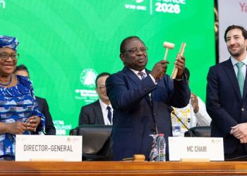 Africa Faces Mounting Trade Risks as WTO Divisions Deepen over Global Rules