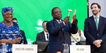 Africa Faces Mounting Trade Risks as WTO Divisions Deepen over Global Rules